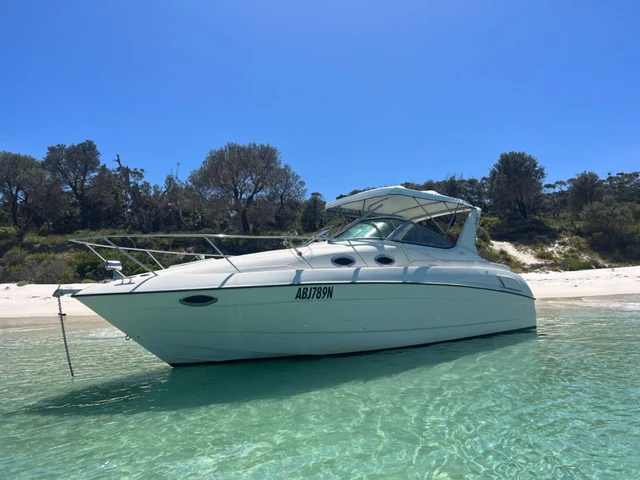 regal commodore 292 sports cruiser 2
