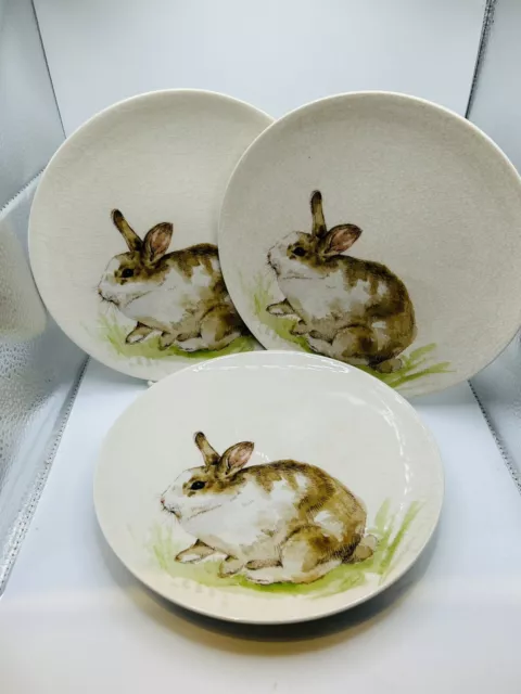 Pottery Barn Pasture Bunny Salad Plates, Set of 3 Easter Spring 8” Stoneware