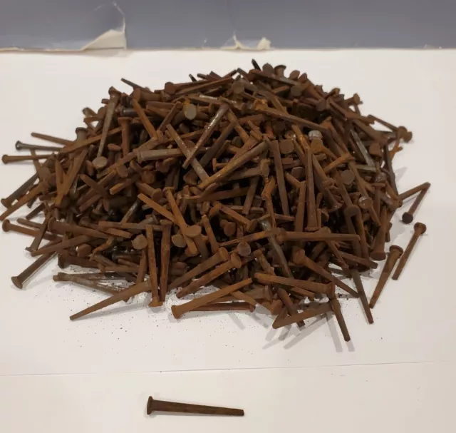 Lot of 800 Vintage Old Time Square Nails,New Old Stock Barn Nails, 1 1/4" long
