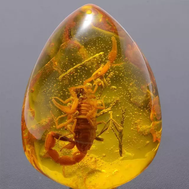 Beautiful Amber Scorpion Fossil Insects Manual Polishing S8L2UK-