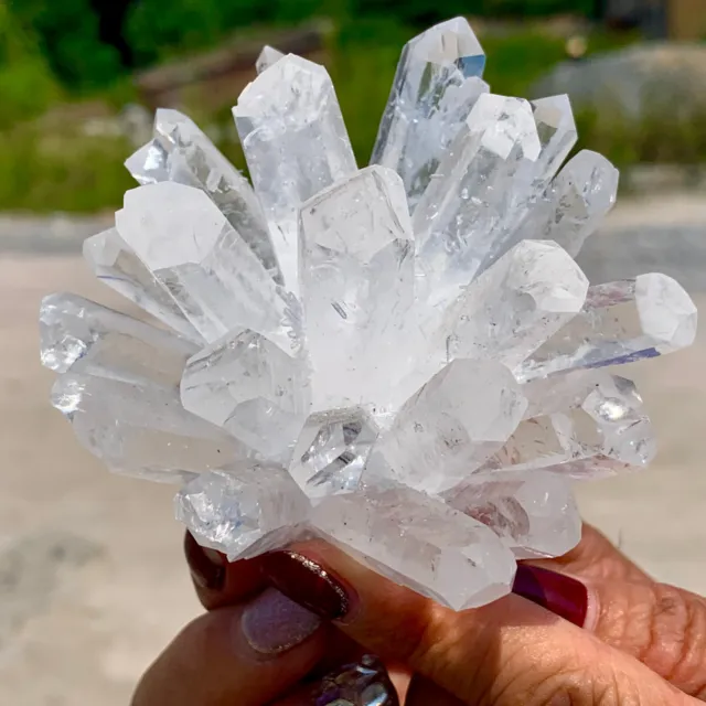264G  New Find Green Phantom Quartz Crystal Cluster Mineral Specimen 3