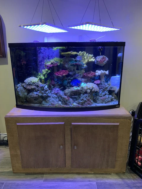90 Gallon Saltwater Aquarium With Fish, Coral, Sump, Lights, R/O System, Etc…