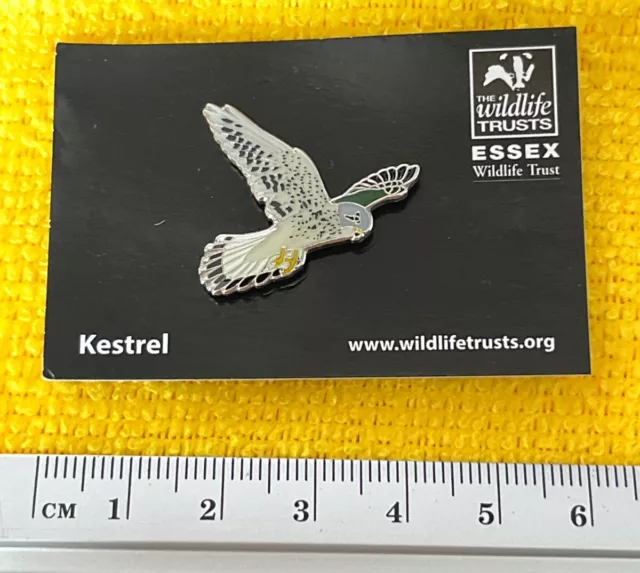 Collectable Wildlife Trusts pin badge  On Card - Kestrel Bird of Prey