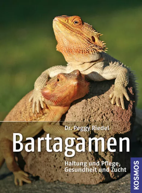 Bartagamen