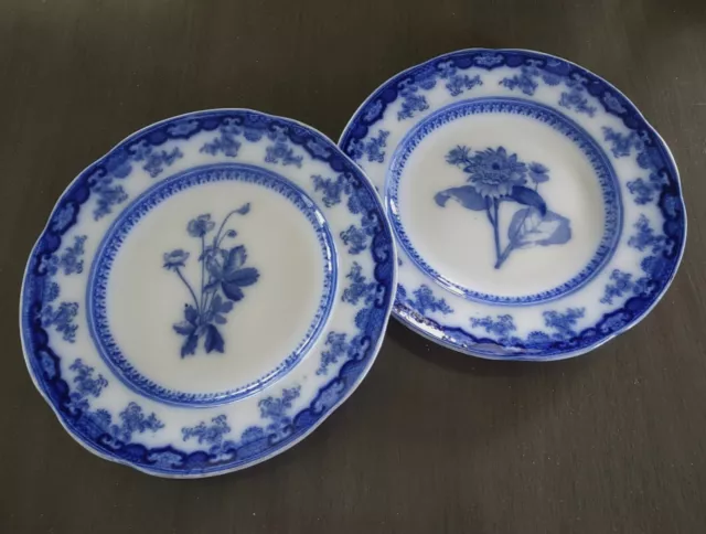 2 WEDGWOOD FLOW BLUE PLATES 10⅜" Botanical Theme