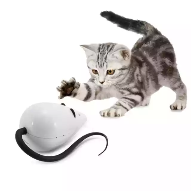 FroliCat Jouet automatique pour chat RoloRat 3