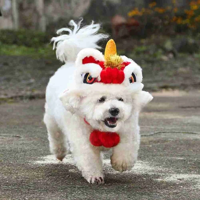pour animaux de compagnie Costume pour animaux de compagnie Casquette Nouvel An