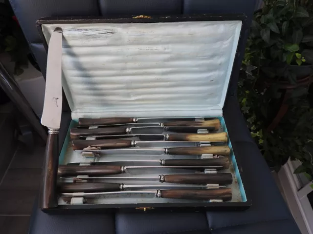 Service 12 anciens couteaux de table + écrin ménagère couvert knife manche corne