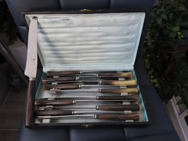 Pradel France et Laguiole - Couteaux de Table (12) - Acier