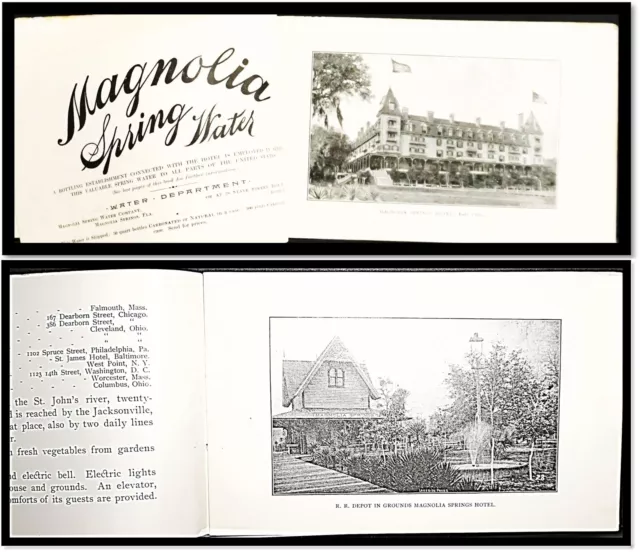 Magnolia Springs Hotel Jacksonville Florida St Johns River c1890 ilustre poco común 3