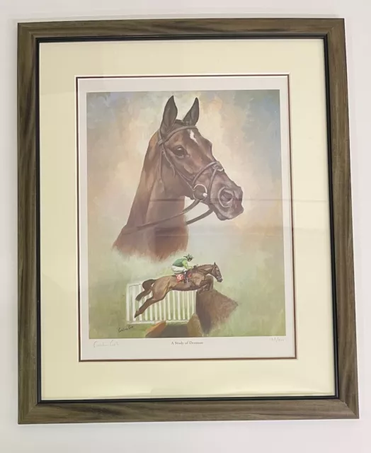 Denman  by Caroline Cook - Framed Limited Edition