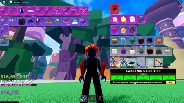 Blox Fruit Account Lv:2450Max, Awaken Magma, GodHuman, Unverified  Account