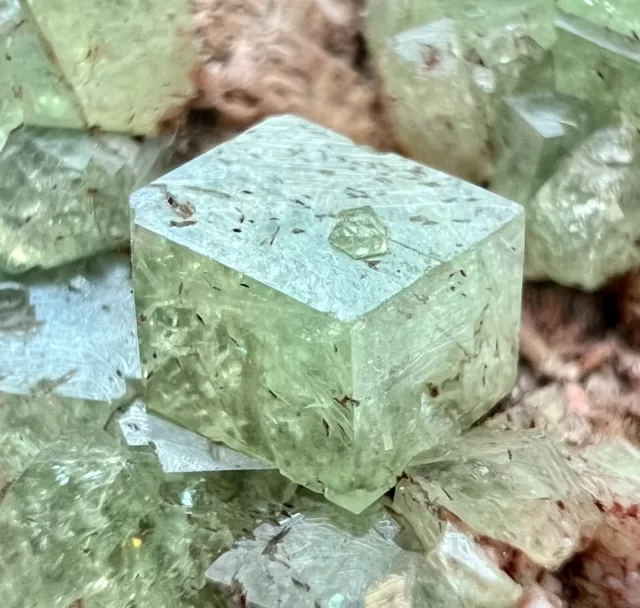 442 Gramm voll abgeschlossen oben grün Demantoid Granat Kristalle Bündel auf Matrix.