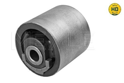 BRACCIO di Controllo 2X Braccio Oscillante Anteriore Bush tedgum 00729771 