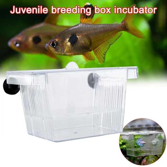 Aquarium Fish Tank Guppy Double Breeding Breeder Rearing C Clear 7Y9I X6K0 N4U7