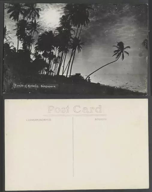 Singapore Old Real Photo Postcard Tanjong Katong Palm Trees Seaside Panorama Boy