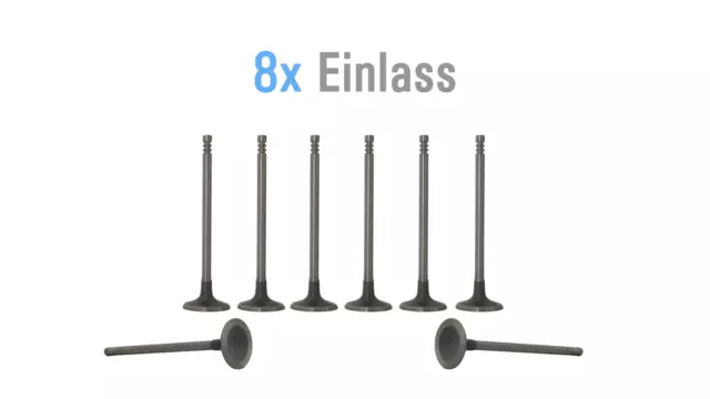 8x Einlassventile Ventil Mini 1,6 W10B16A 11347513023 NEU