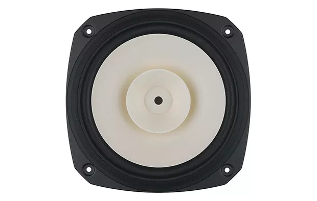 Fostex FE206NV2 20 CM Haut-Parleur Full Range Fe 206 NV2 1 Paire