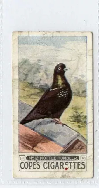 (Gr953-408) Cope, Pigeons, #12 Clean Legged Black Mottle 1926 G