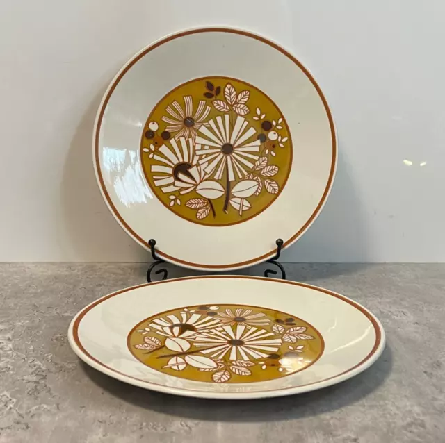 Vintage Plates x 2 - JG MEAKIN Studio Shangri La Pottery Retro - 22.5cm 9" 1960s 3