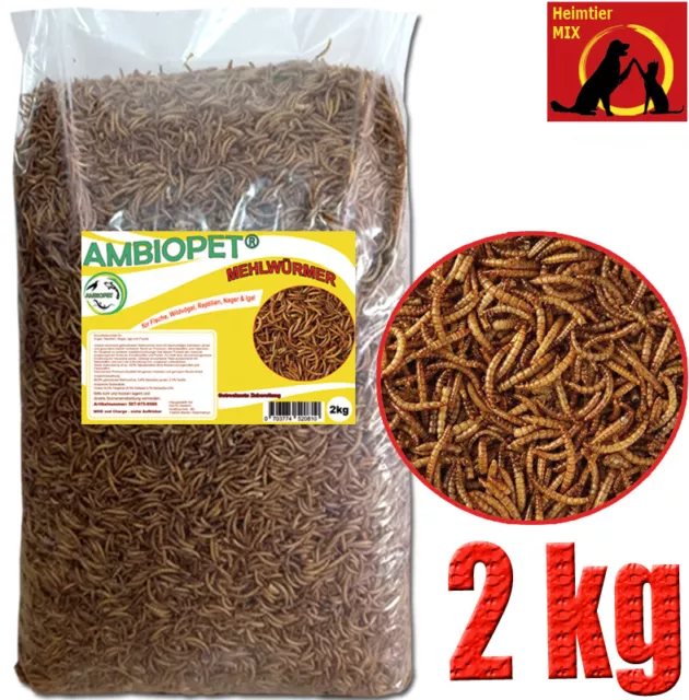 Ambiopet Mehlwürmer getrocknet 2 kg Nager Vögel Reptilien Fisch Igel Koifutter