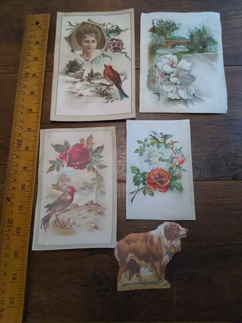 1890s VICTORIAN TRADE CARD Lion Coffee. Lot of 5 flowers, dog, birds (G10)