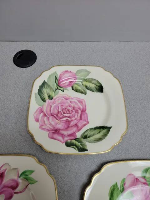 3 Vintage Onondaga Pottery Co Flowered Syracuse China Plates 3