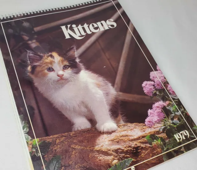 Vintage 1979 Cat Calendar Kittens Unused Spiral Bound Hanging Hoyle USA