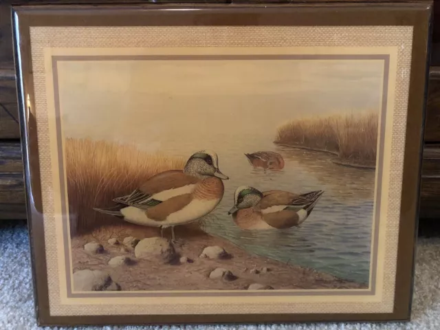 Vintage Lacqued Mallard Picture Waterfowl Duck Hunting 10.5x9 Ralph S. Coventry