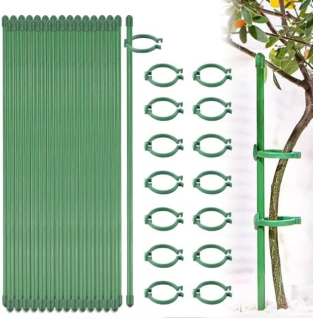 Bastoncini Per Piante In Legno | Confronta Prezzi - Foto 6