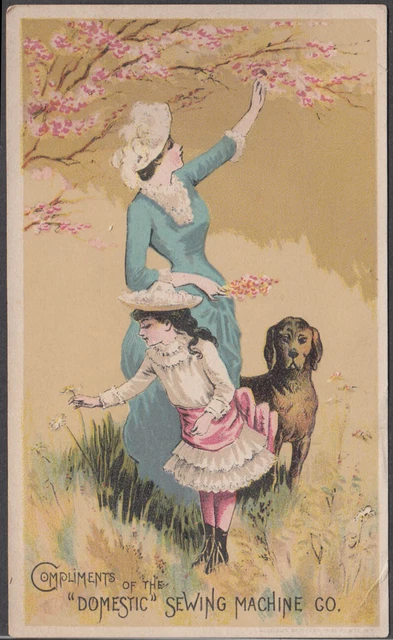 Domestic Sewing Machine trade card 1882 mother daughter & dog afield