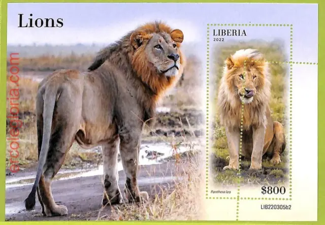 B0513 - LIBERIA - ERROR MISPERF Stamp Sheet - 2022 - Animals, Lions