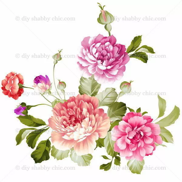 Waterslide Decal Image Vinatage Transfer Peony Flowers Upcycle Shabby Chic Art