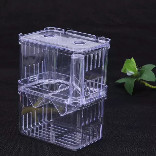 fr Acrylic Fish Breeding Isolation Box Incubator For Fish Tank