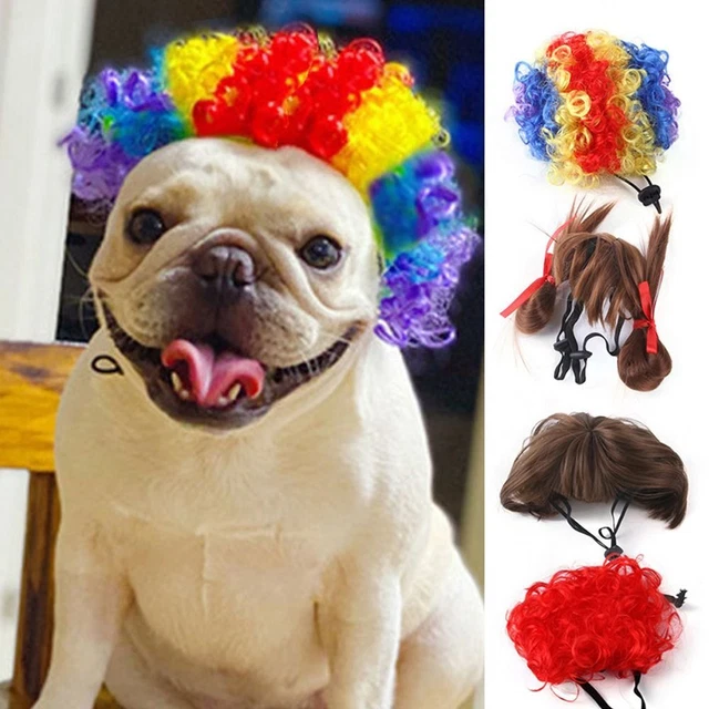 Carino cane gatto travestimento capelli cosplay oggetti di scena scherzo forniture per animali domestici regalo