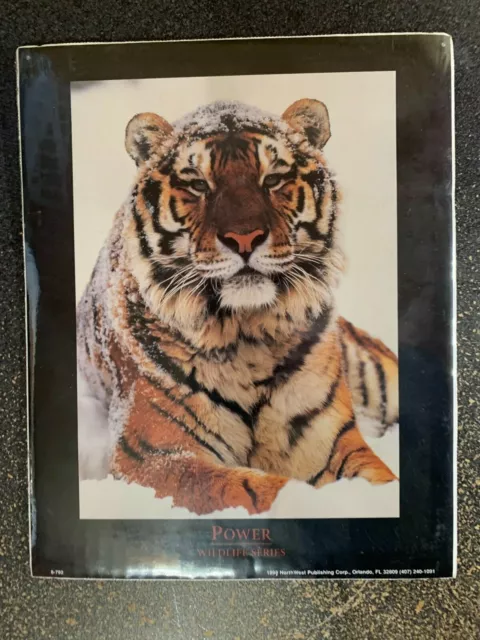 1998 - Northwest Publishing - Tiger (2) - Sealed Print - 8 x 10 - Item#1332