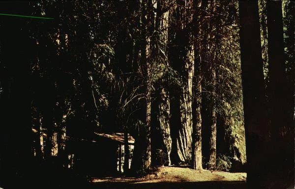 Pfeiffer Big Sur State Park,CA Monterey County California GT Distributors