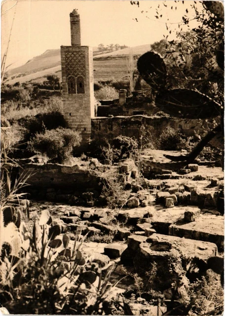 CPM AK Rabat- Le Challa, La mosquee&ruines romaines MAROC (880691)