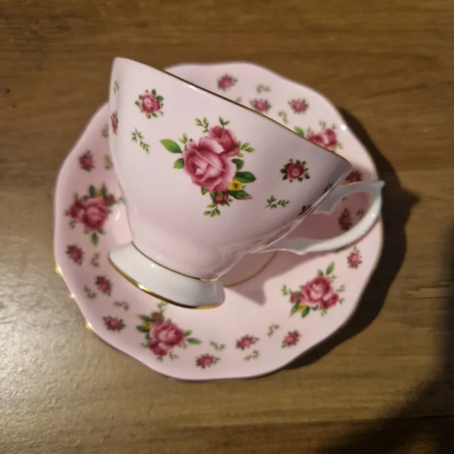 Royal Albert Pink New Country Roses Teacup & Saucer Set