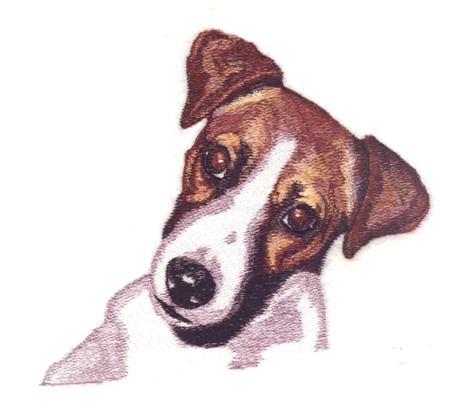 Embroidered Long-Sleeved T-Shirt - Jack Russell Terrier BT4473 Sizes S - XXL