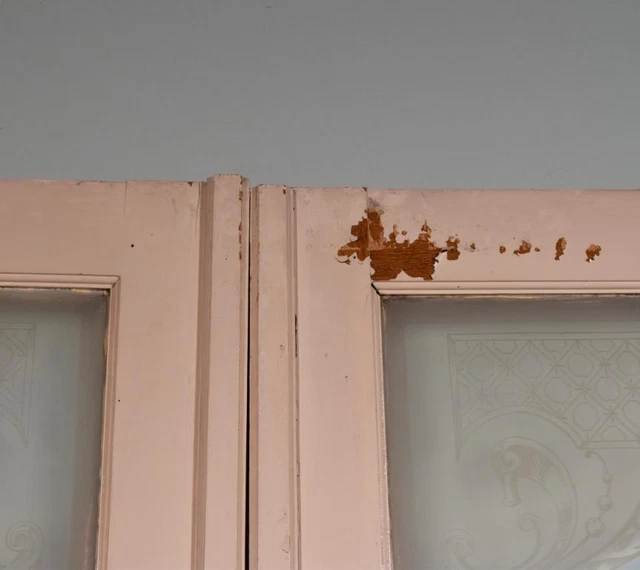 *Pair of Antique French Etched Glass Doors With Peacock Frosted Glass Salvage 9
