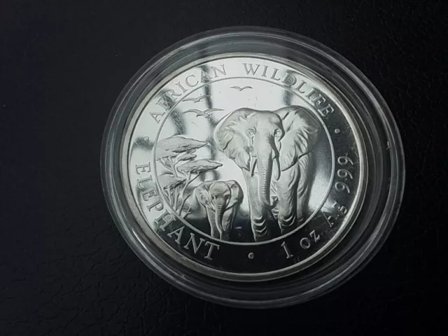 1 Oz Somali African Elephant 2015 Silver Coin 999 Fine in Capsule #1 3