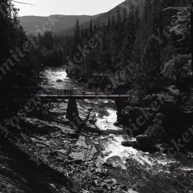 a15 Original Negative 1966 Glacier Park Avalanch Creek bridge 857a