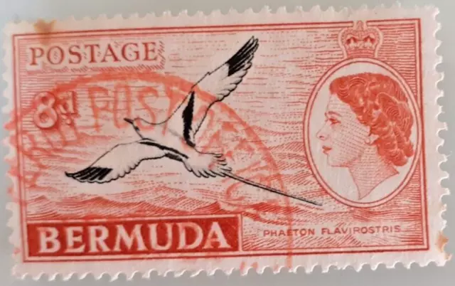 BERMUDA 8d STAMP  showing PHAETON FLAVIROSTRIS 1958