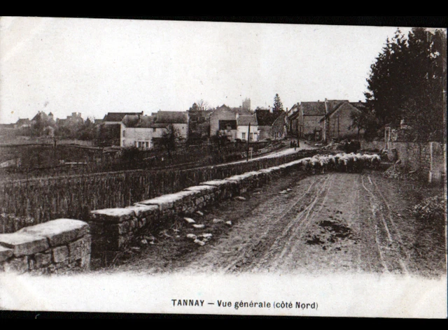 TANNAY (58) MOUTONS en TRANSHUMANCE & VILLAS animées