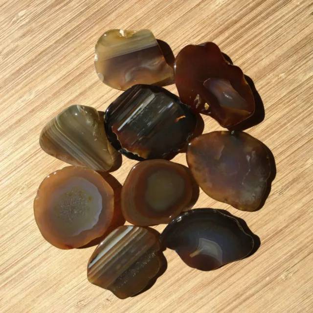 9 Mini Geode Ends Small Rock Slices Mixed Polished Brown Banded Agate Crystals