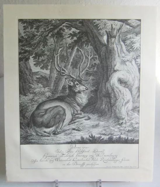 Johann E Ridinger (1698-1767) Kupferstich Hirsch