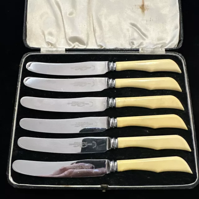 Vintage Boxed Set of 6 Butter / Dessert Knives - Stainless Steel & Faux Bone