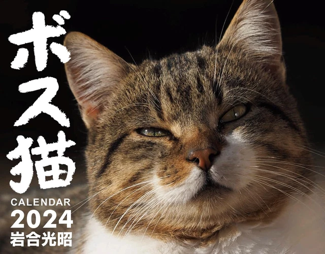 2024 WALL CALENDAR Cat BOSS Neko Mitsuaki Iwago Japanese Cats from