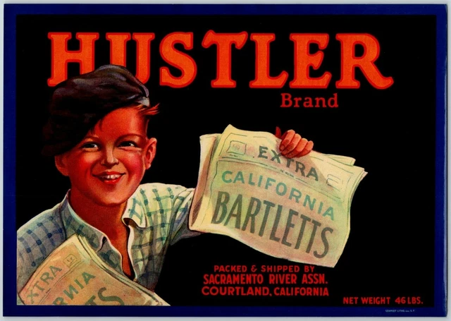 Hustler Pears Vintage Original Paper Fruit Crate Label Newspaper Boy Courtland